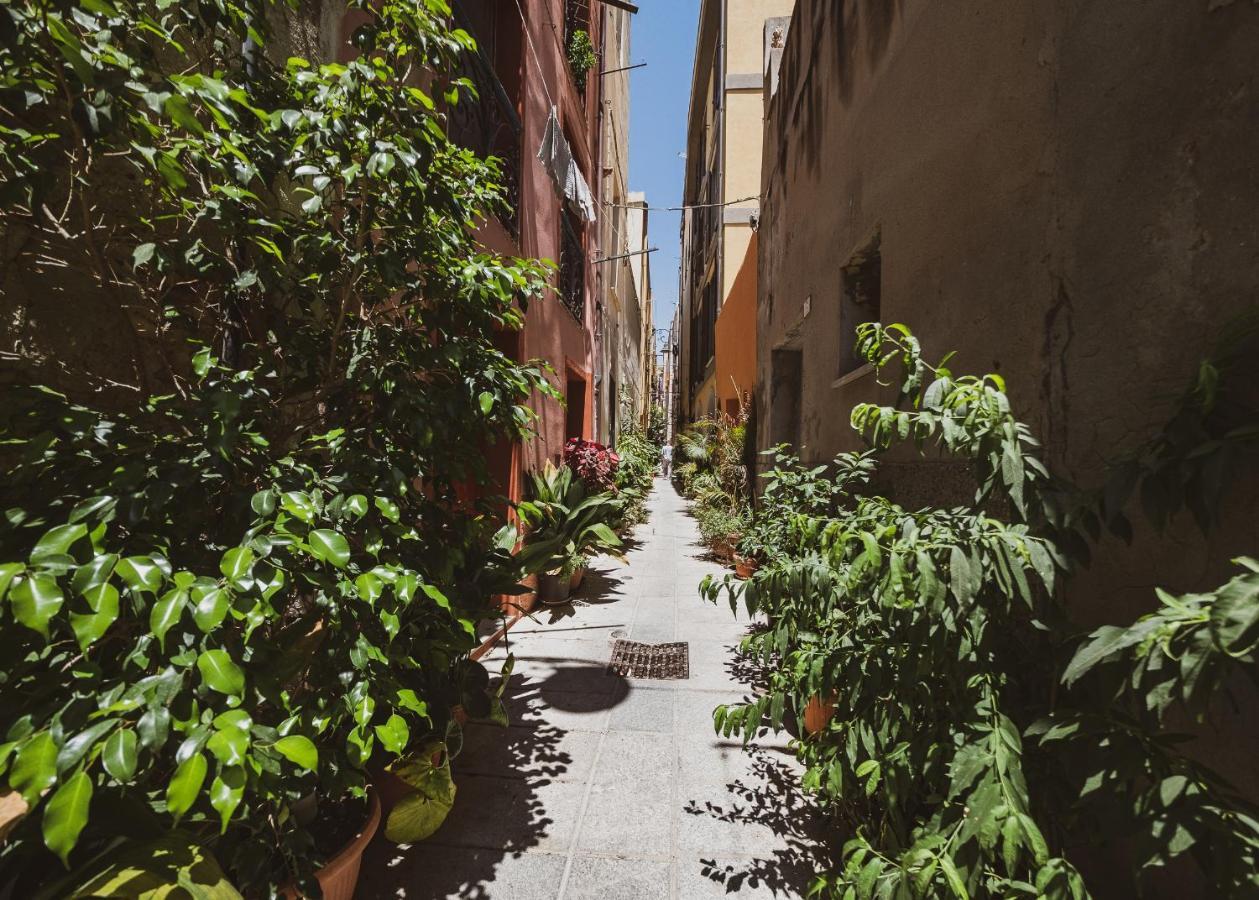 Appartamento Maestrale - Quartiere Castello Cagliari Eksteriør bilde