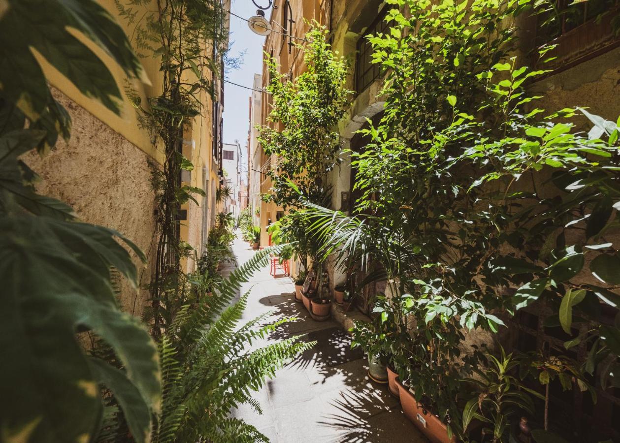 Appartamento Maestrale - Quartiere Castello Cagliari Eksteriør bilde